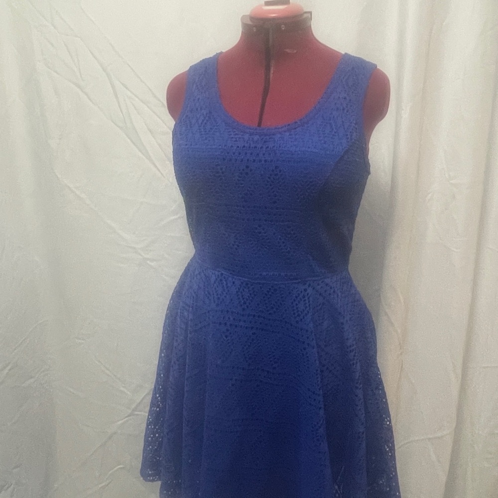 Express Royal Blue Lace Mini Dress New.